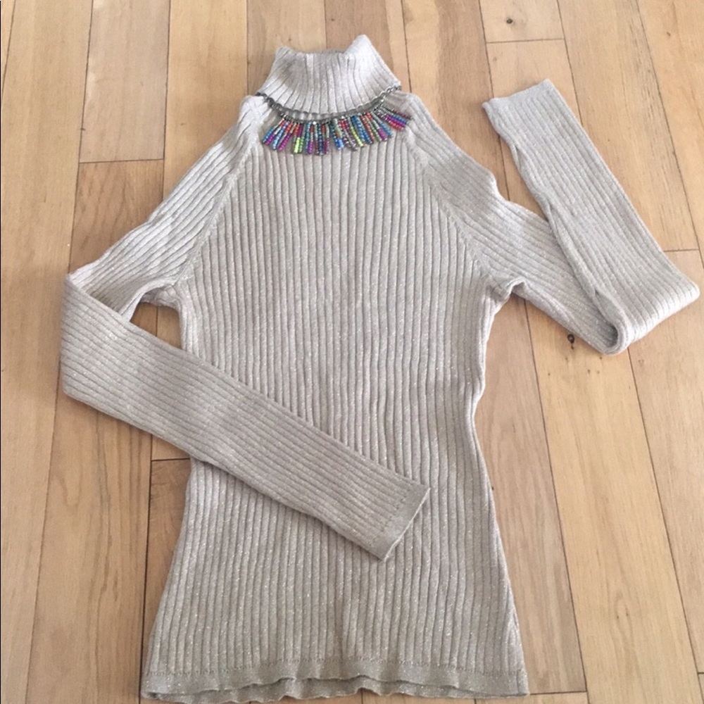 Sparkly Rib Turtleneck